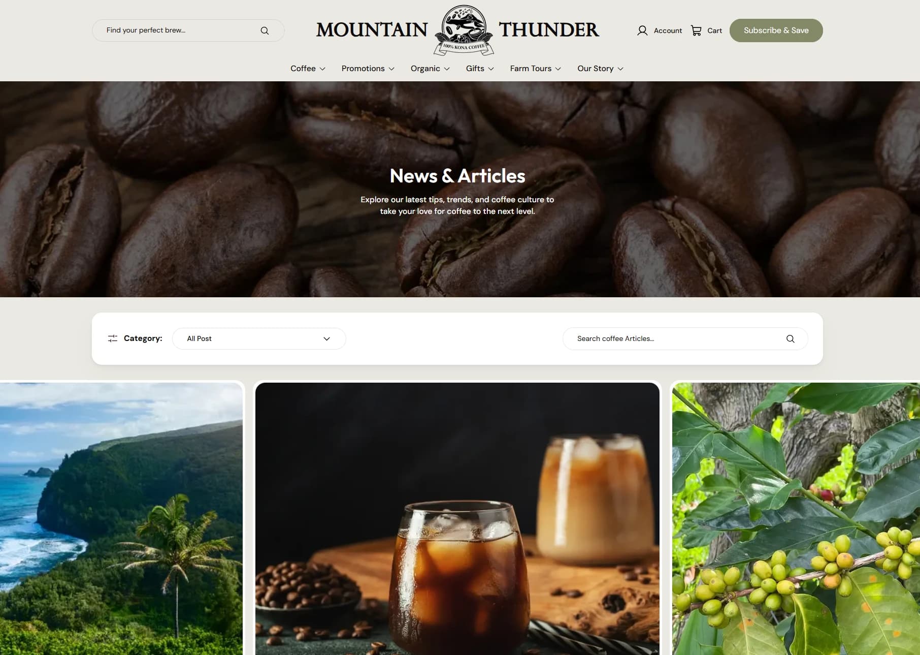 Mountain Thunder news and articles listing with its category filter and search